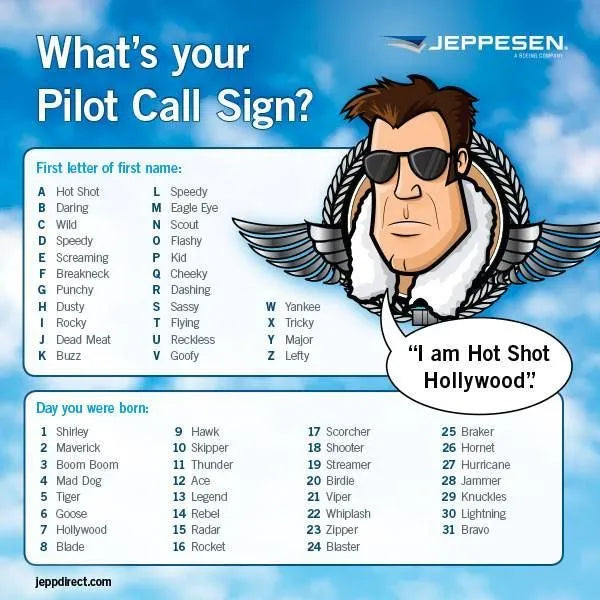 Top 10 Pilot Callsigns