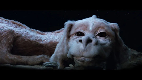 Things to know about A Neverending Story