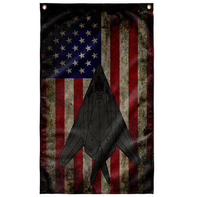 F-117 Nighthawk Colorized Flag